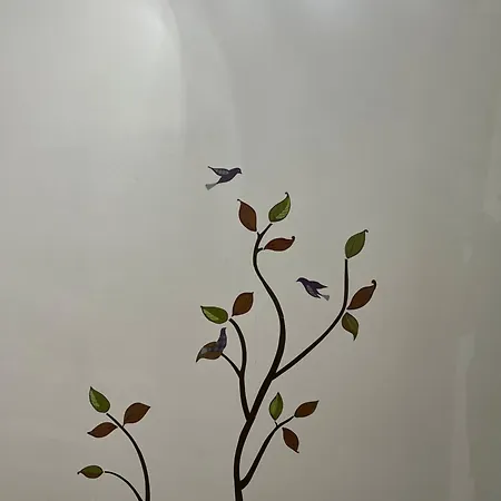 Center Guest house